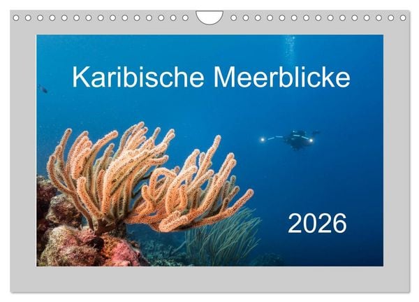 Produktbild: Karibische Meerblicke (Wandkalender 2026 DIN A4 quer), CALVENDO Monatskalender