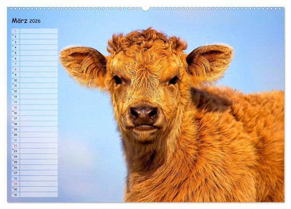 Produktbild: Rinder auf dem Lande (hochwertiger Premium Wandkalender 2026 DIN A2 quer), Kunstdruck in Hochglanz