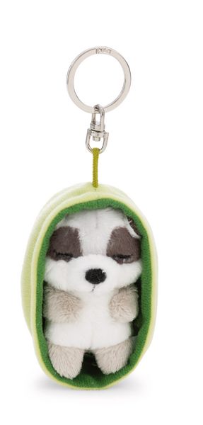 NICI - Schlüsselanhänger Sleeping Pets Waschbär 8cm Körbchen hellgrün an Header Karte