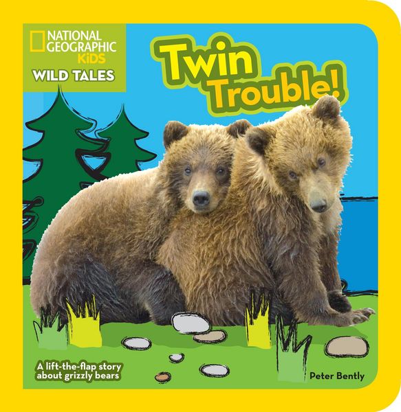 Produktbild: Twin Trouble-Lift Flap