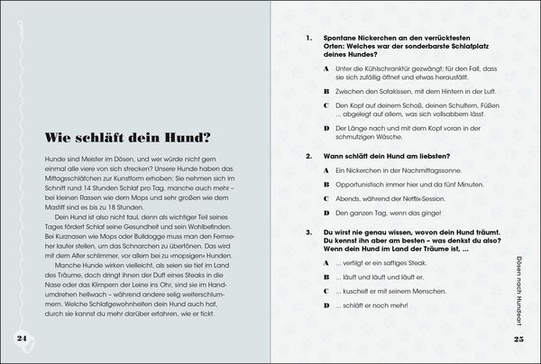 Produktbild: Wuff - Wie gut kennst du deinen Hund?