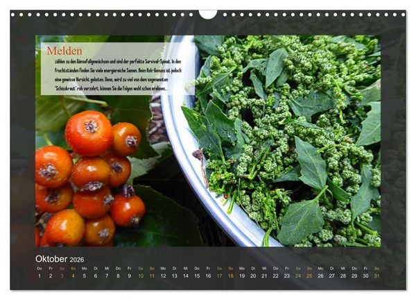 Produktbild: Outdoor-Survival-Kalender (Wandkalender 2026 DIN A3 quer), CALVENDO Monatskalender