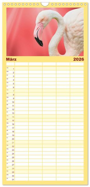 Produktbild: Familienplaner 2026 - Die bunte Welt der V&ouml;gel mit 5 Spalten (Wandkalender, 21 x 45 cm) CALVENDO