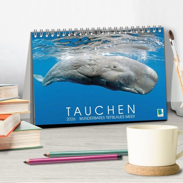Produktbild: Tauchen: Wunderbares tiefblaues Meer (Tischkalender 2026 DIN A5 quer), CALVENDO Monatskalender