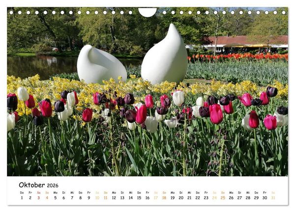 Produktbild: Auf Tour im Land der Tulpen (Wandkalender 2026 DIN A4 quer), CALVENDO Monatskalender