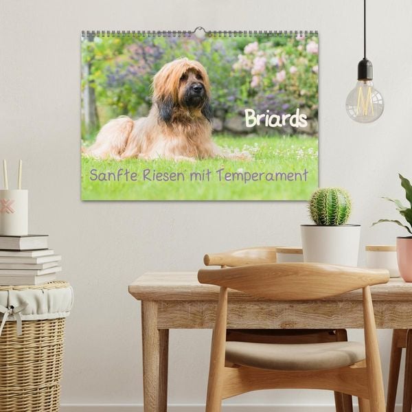 Produktbild: Briards - sanfte Riesen mit Temperament (Wandkalender 2026 DIN A3 quer), CALVENDO Monatskalender