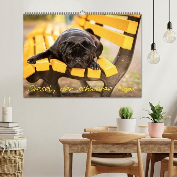 Produktbild: Diesel, der schwarze Mops (Wandkalender 2026 DIN A2 quer), CALVENDO Monatskalender