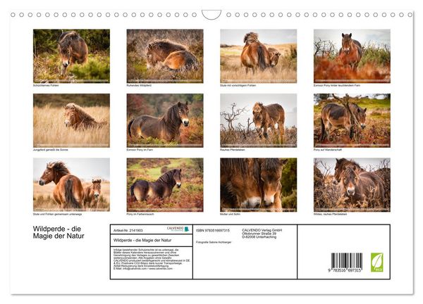 Produktbild: Wildperde - die Magie der Natur (Wandkalender 2026 DIN A3 quer), CALVENDO Monatskalender