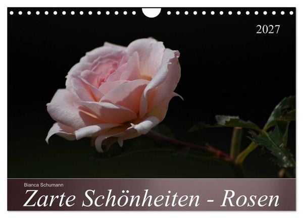 Produktbild: Zarte Sch&ouml;nheiten - Rosen (Wandkalender 2027 DIN A4 quer), CALVENDO Monatskalender