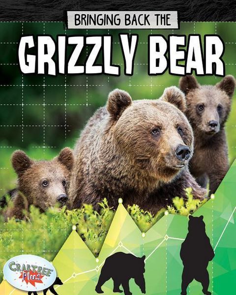 Produktbild: Grizzly Bear