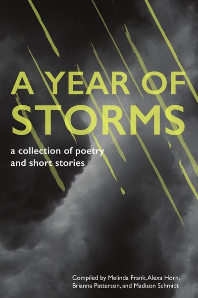Produktbild: A Year of Storms