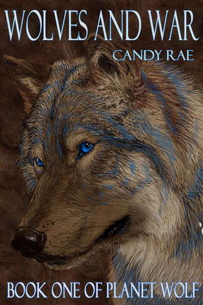 Produktbild: Wolves and War