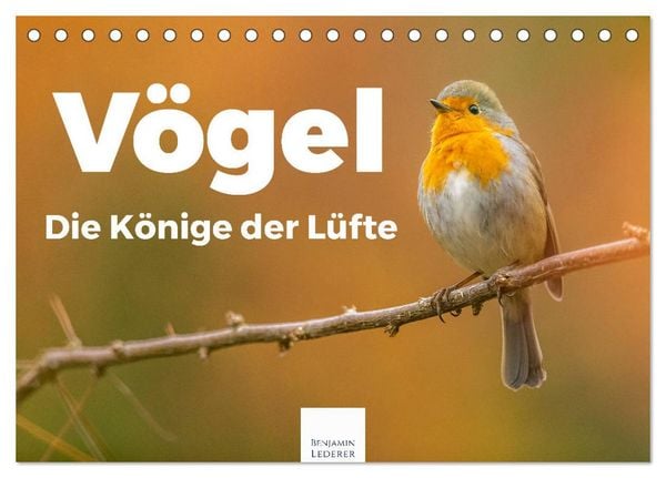 Produktbild: V&ouml;gel - Die K&ouml;nige der L&uuml;fte (Tischkalender 2026 DIN A5 quer), CALVENDO Monatskalender