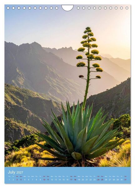 Produktbild: Succulents in Many Shapes (Wall Calendar 2027 DIN A4 portrait), CALVENDO 12 Month Wall Calendar