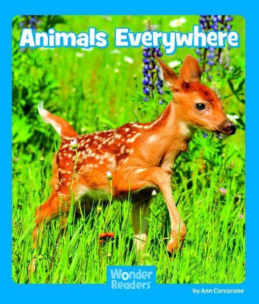 Produktbild: A Zoo Full of Birds