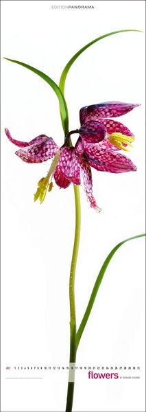 Produktbild: Flowers