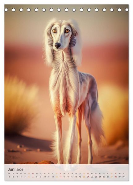 Produktbild: Persischer Windhund (Tischkalender 2026 DIN A5 hoch), CALVENDO Monatskalender