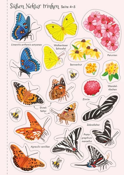 Produktbild: Mein Immer-wieder-Stickerbuch: Schmetterlinge