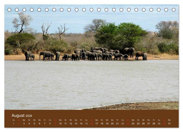 Produktbild: Namibia - faszinierende Menschen und Tiere (Tischkalender 2026 DIN A5 quer), CALVENDO Monatskalender