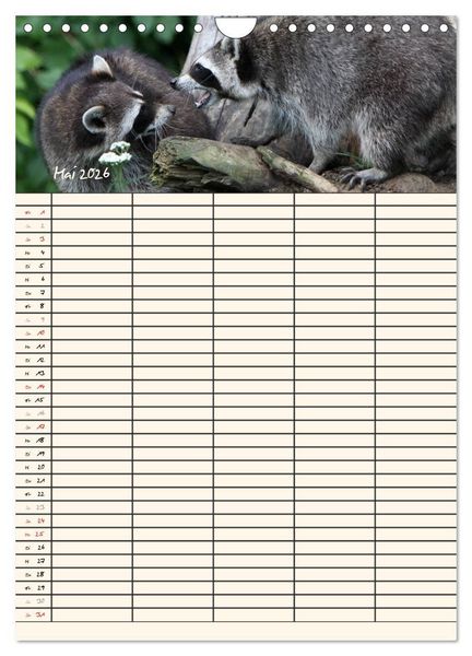Produktbild: Waschb&auml;ren Familienplaner (Wandkalender 2026 DIN A4 hoch), CALVENDO Monatskalender