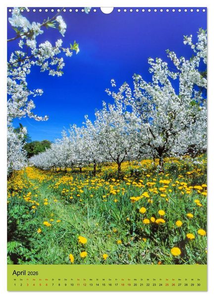 Produktbild: Schleswig-Holstein. Du bist so sch&ouml;n. (Wandkalender 2026 DIN A3 hoch), CALVENDO Monatskalender