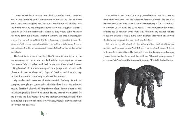 Produktbild: Black Beauty