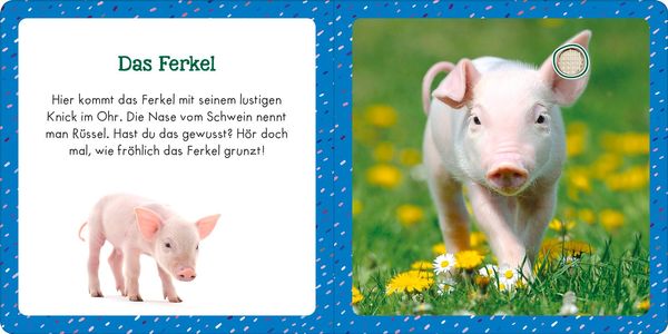 Produktbild: Soundbuch f&uuml;r Klitzekleine &ndash; Bauernhoftiere