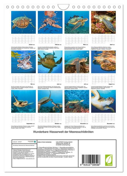 Produktbild: Wunderbare Wasserwelt der Meeresschildkr&ouml;ten (Wandkalender 2026 DIN A4 hoch), CALVENDO Monatskalender