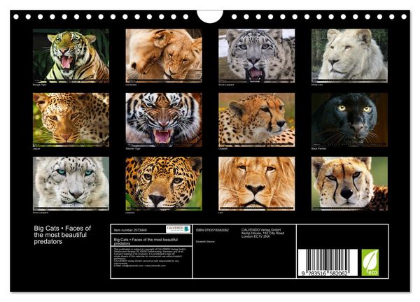 Produktbild: Big Cats &bull; Faces of the most beautiful predators (Wall Calendar 2026 DIN A4 landscape), CALVENDO 12 Month Wall Calendar