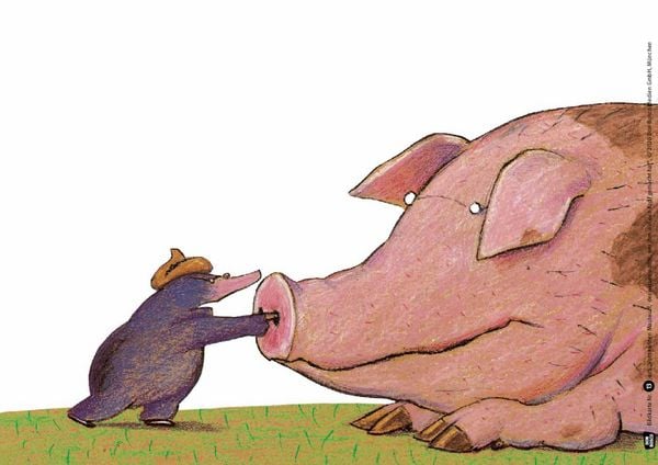 Produktbild: Vom kleinen Maulwurf, der wissen wollte, wer ihm auf den Kopf gemacht hat. Kamishibai Bildkartenset