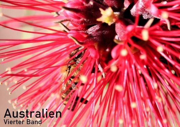 Produktbild: Australien - Vierter Band