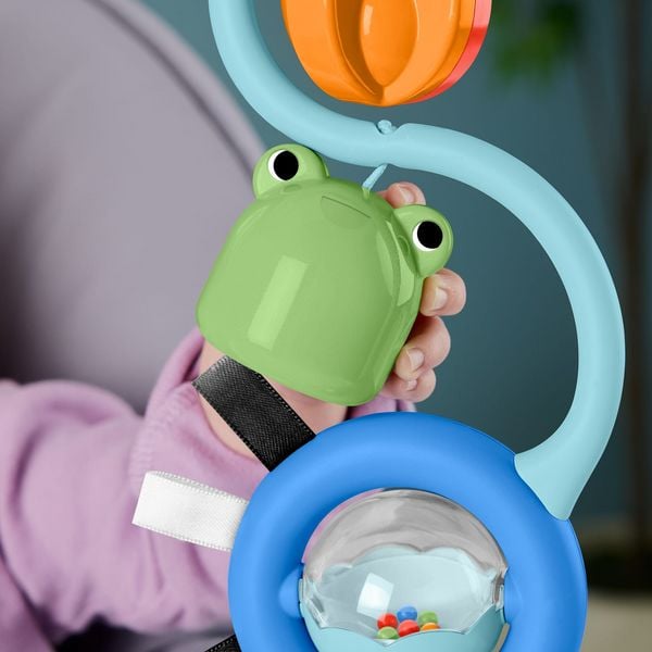 Produktbild: Fisher-Price Balanced Beginnings Suction Cup Toy