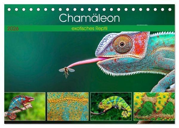 Produktbild: Cham&auml;leon - exotisches Reptil (Tischkalender 2026 DIN A5 quer), CALVENDO Monatskalender
