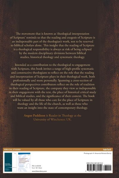 Produktbild: Theologians on Scripture