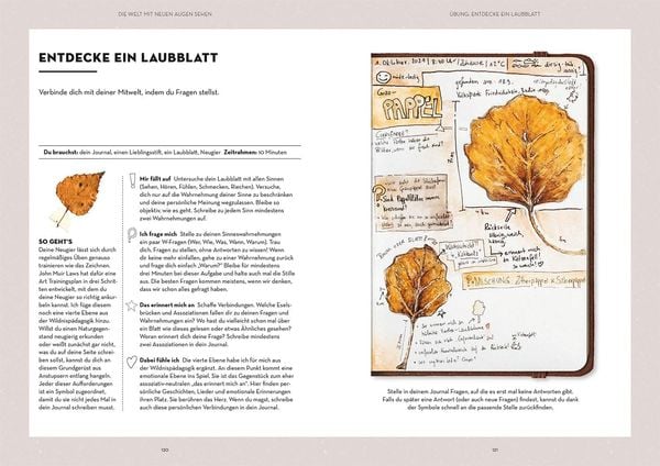 Produktbild: Nature Journaling
