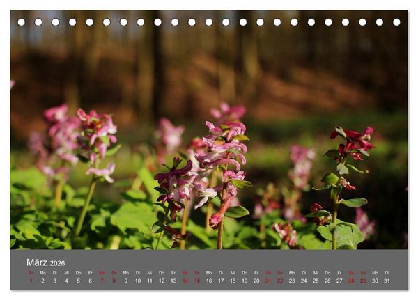 Produktbild: Wahner Heide - Aussichten und Begegnungen (Tischkalender 2026 DIN A5 quer), CALVENDO Monatskalender