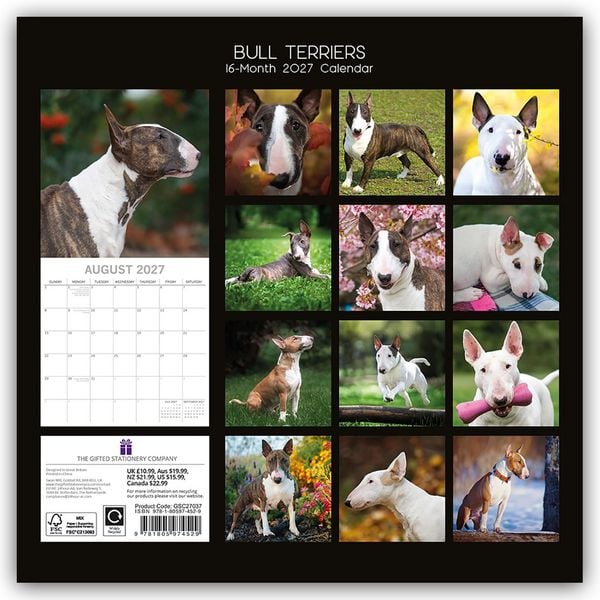 Produktbild: Bull Terrier 2027 &ndash; 16-Monatskalender