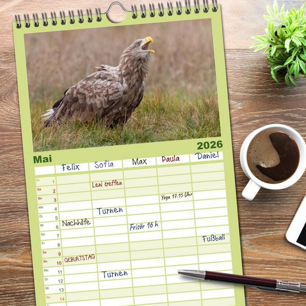 Produktbild: Familienplaner 2026 - Seeadler in Polen mit 5 Spalten (Wandkalender, 21 x 45 cm) CALVENDO
