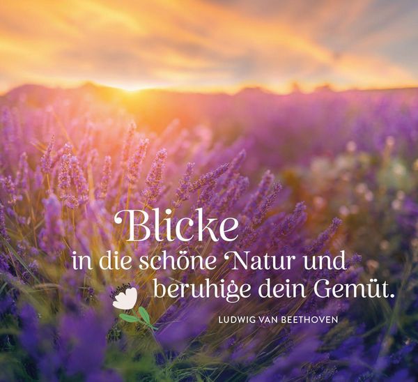 Produktbild: Lass Sonne in dein Herz