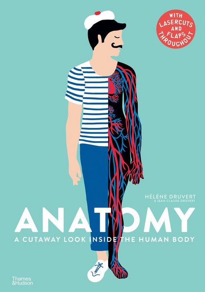 Produktbild: Anatomy