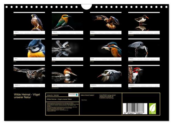 Produktbild: Wilde Heimat - V&ouml;gel unserer Natur (Wandkalender 2026 DIN A4 quer), CALVENDO Monatskalender