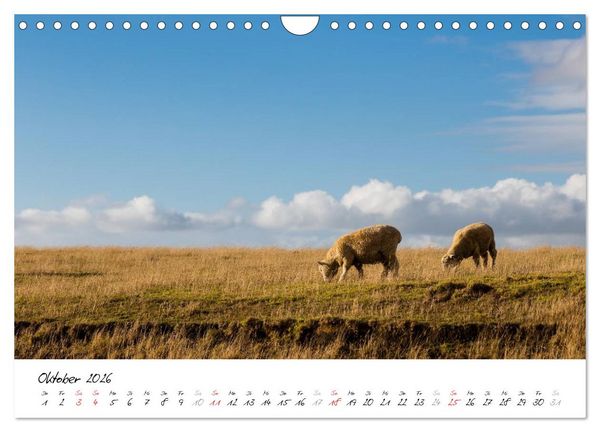 Produktbild: Neuseeland - Streifzug &uuml;ber die Nordinsel (Wandkalender 2026 DIN A4 quer), CALVENDO Monatskalender