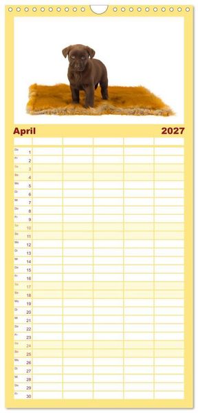 Produktbild: Familienplaner 2027 - Labrador - Welpen mit 5 Spalten (Wandkalender, 21 x 45 cm) CALVENDO