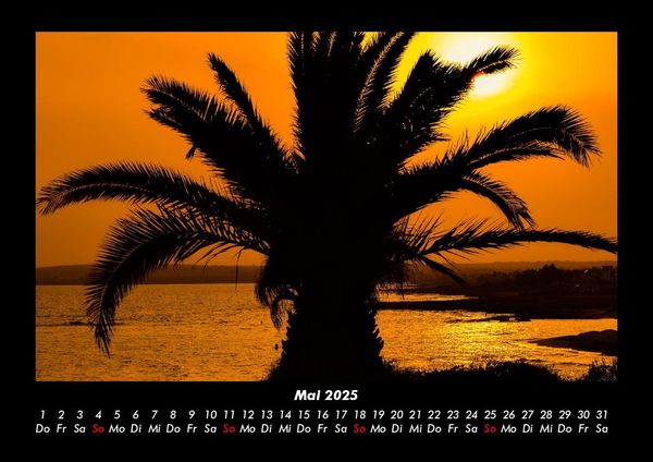 Produktbild: Palmentraum 2025 Fotokalender DIN A3