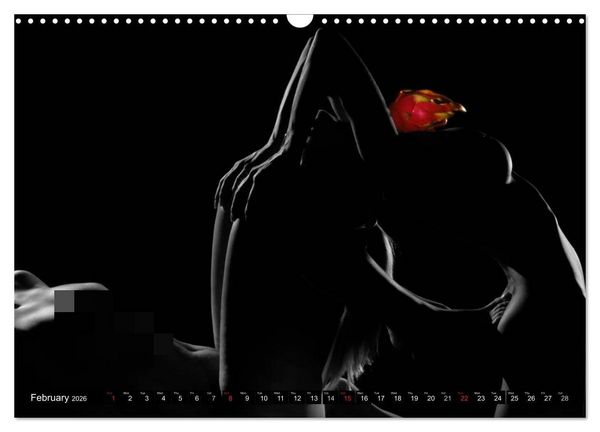 Produktbild: Fruit Nudes (Wall Calendar 2026 DIN A3 landscape), CALVENDO 12 Month Wall Calendar