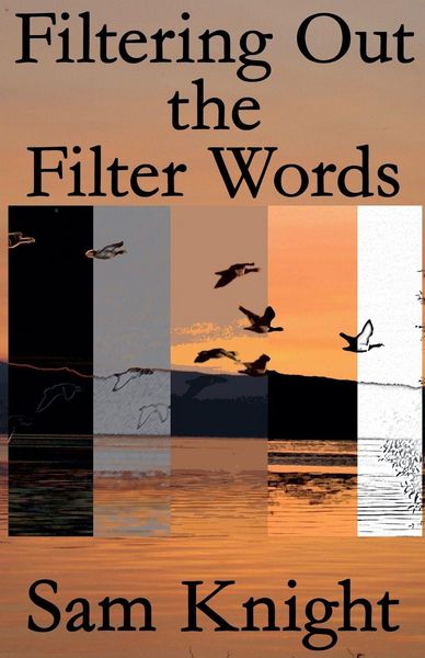 Produktbild: Filtering Out the Filter Words