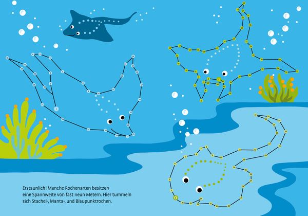 Produktbild: Total bunt von Punkt zu Punkt. Meerestiere. Von 1 bis 100