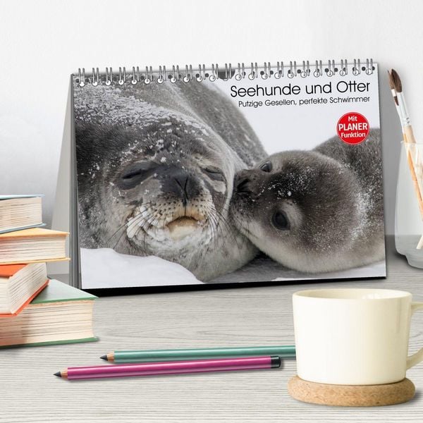 Produktbild: Seehunde und Otter. Putzige Gesellen, perfekte Schwimmer (Tischkalender 2026 DIN A5 quer), CALVENDO Monatskalender