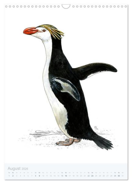 Produktbild: Pinguine - 13 Illustrationen (Wandkalender 2026 DIN A3 hoch), CALVENDO Monatskalender