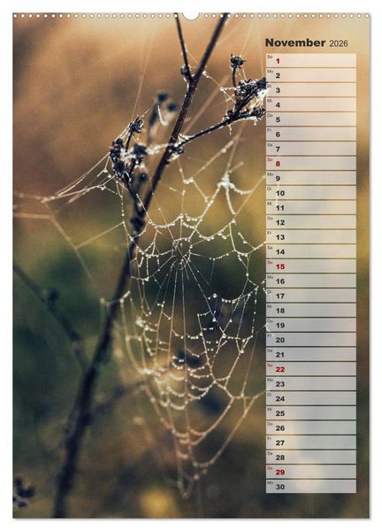 Produktbild: Kalender - Natur im Detail (Wandkalender 2026 DIN A2 hoch), CALVENDO Monatskalender